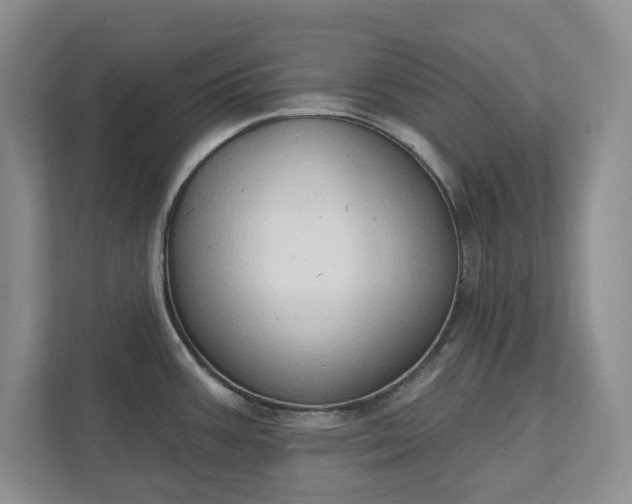 X0000111521387200907211215