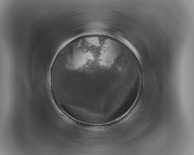 X0000111521388200907211215