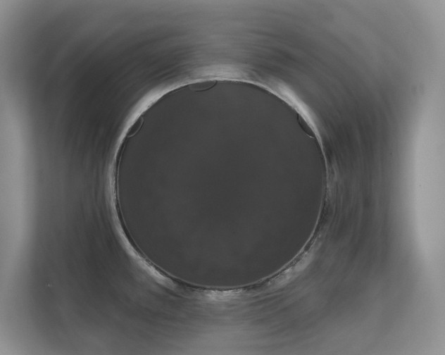X0000111521389200907211215