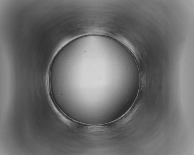 X0000111521391200907211215