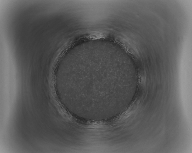 X0000111521393200907211214