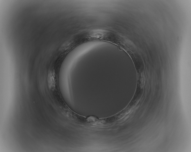 X0000111521394200907211214