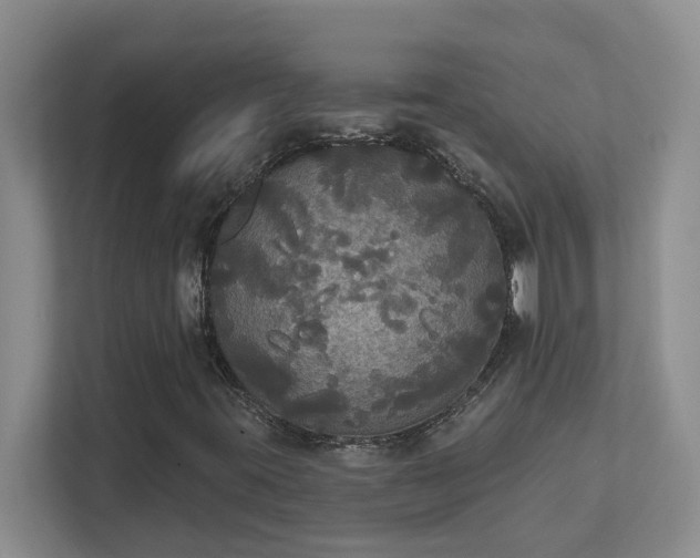X0000111521395200907211214