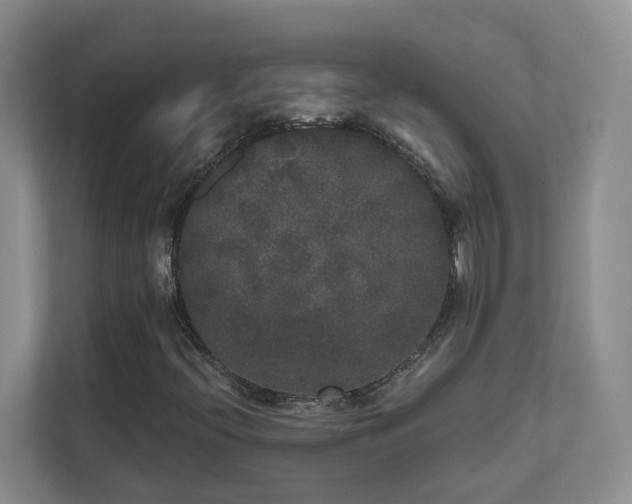 X0000111521396200907211214