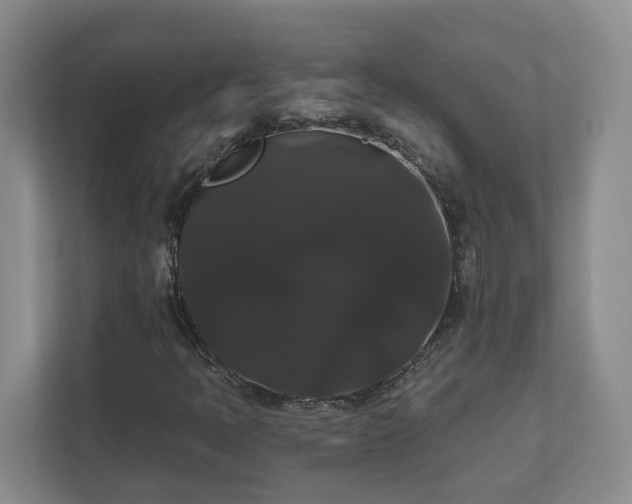 X0000111521397200907211214