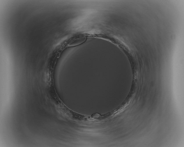 X0000111521398200907211214