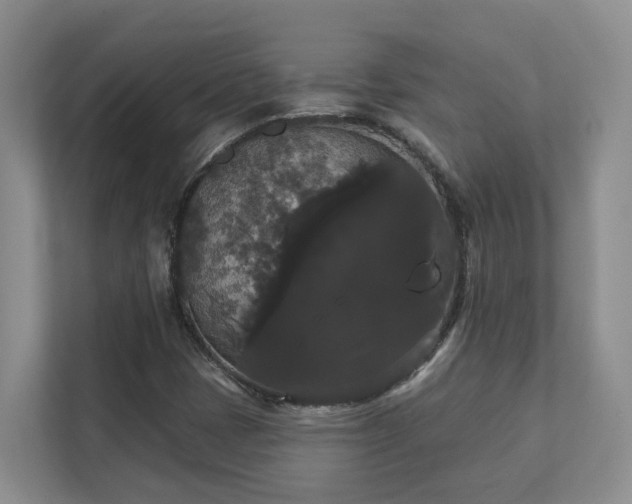 X0000111521401200907211214