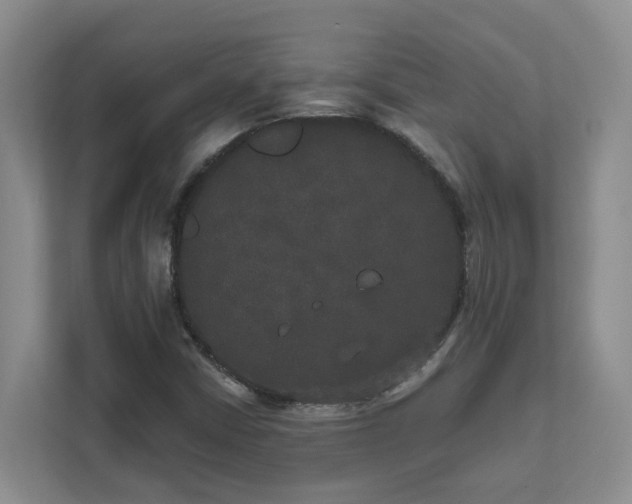 X0000111521402200907211214
