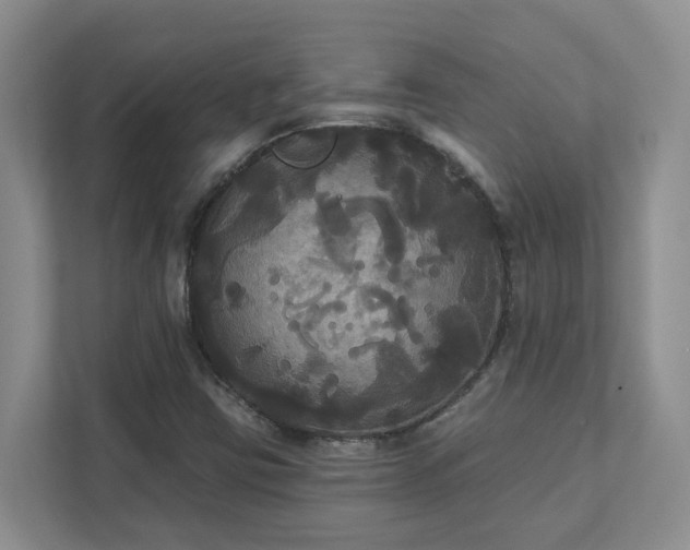 X0000111521403200907211214