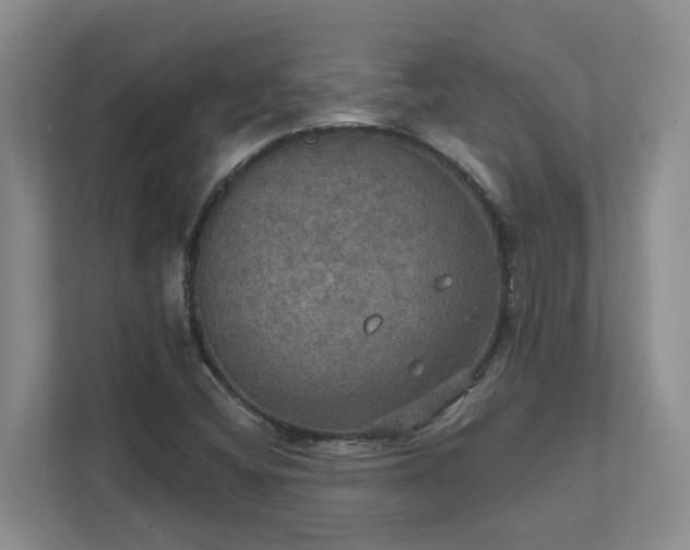 X0000111521404200907211215
