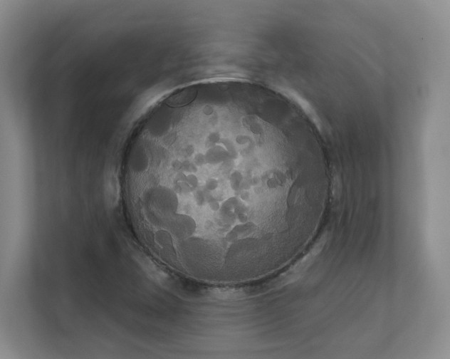 X0000111521407200907211215