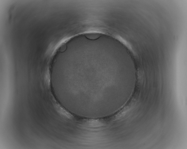 X0000111521408200907211215