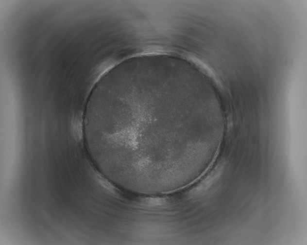 X0000111521409200907211215