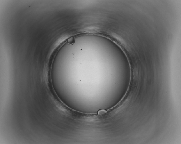 X0000111521410200907211215