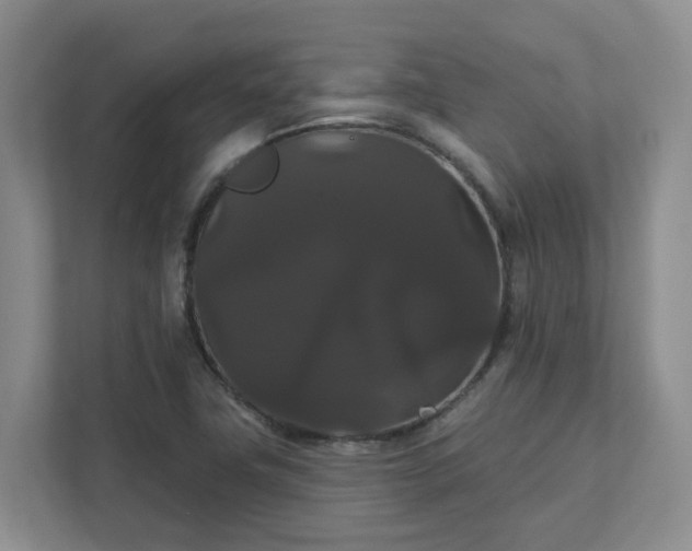 X0000111521411200907211215