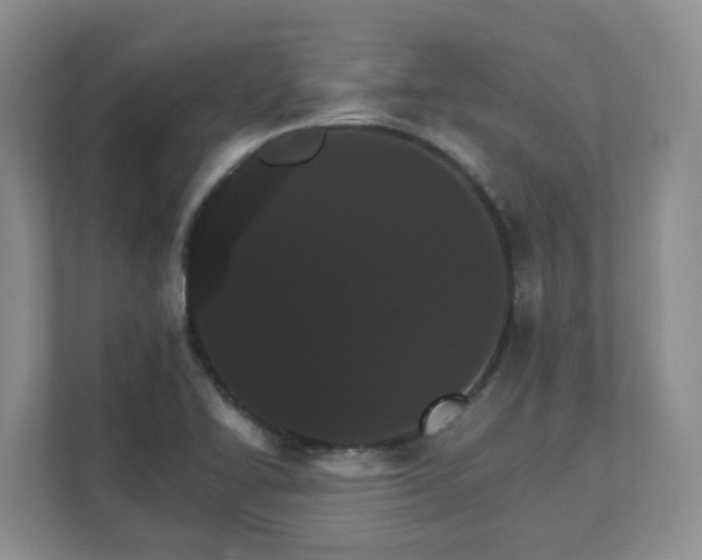 X0000111521414200907211215