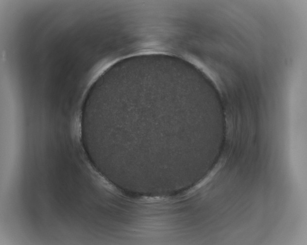 X0000111521415200907211215