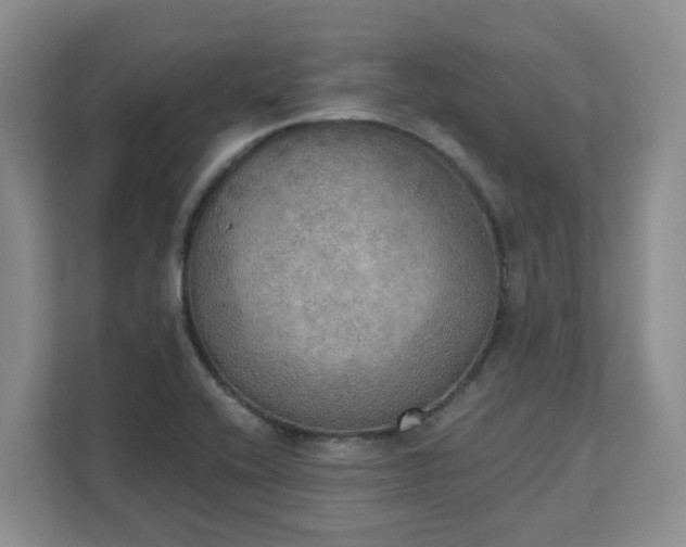 X0000111521416200907211215