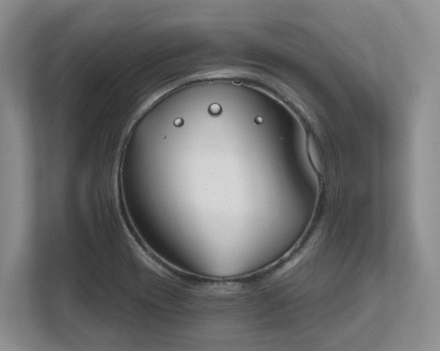 X0000111521417200907211215