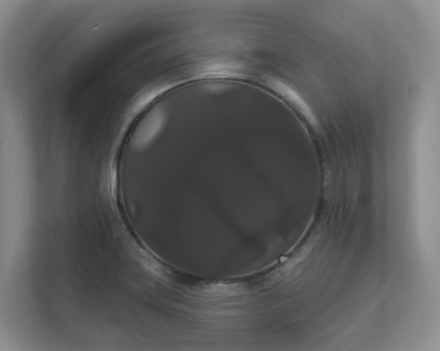 X0000111521419200907211215