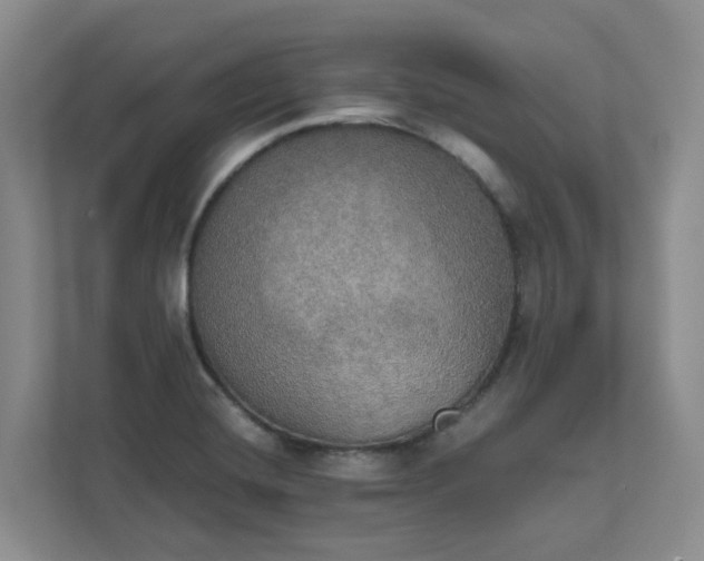 X0000111521420200907211215