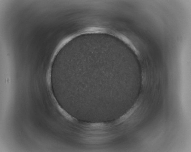 X0000111521421200907211215