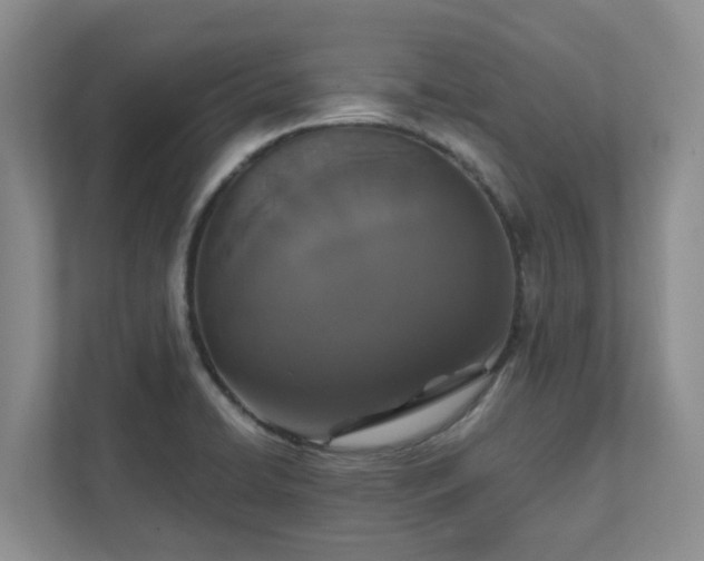 X0000111521422200907211215