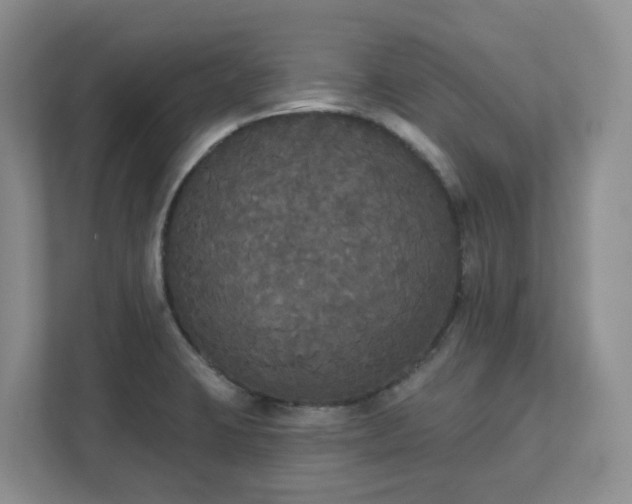 X0000111521423200907211215