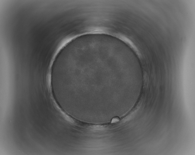 X0000111521424200907211215