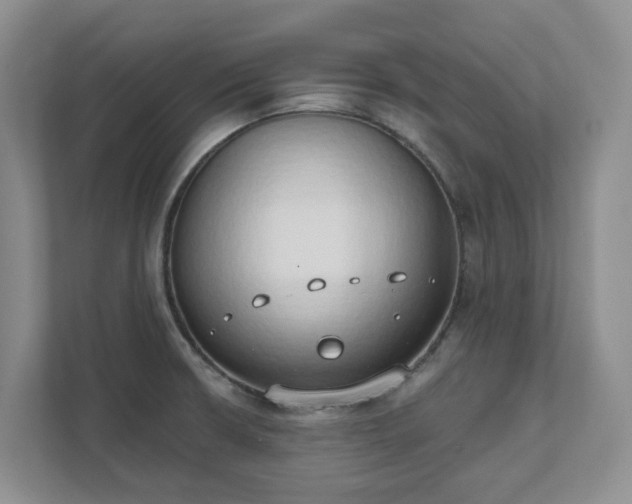 X0000111521426200907211215