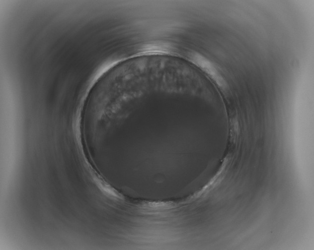 X0000111521427200907211215