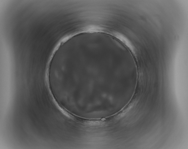 X0000111521429200907211215