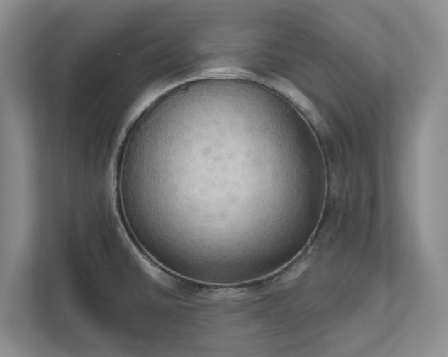 X0000111521430200907211215