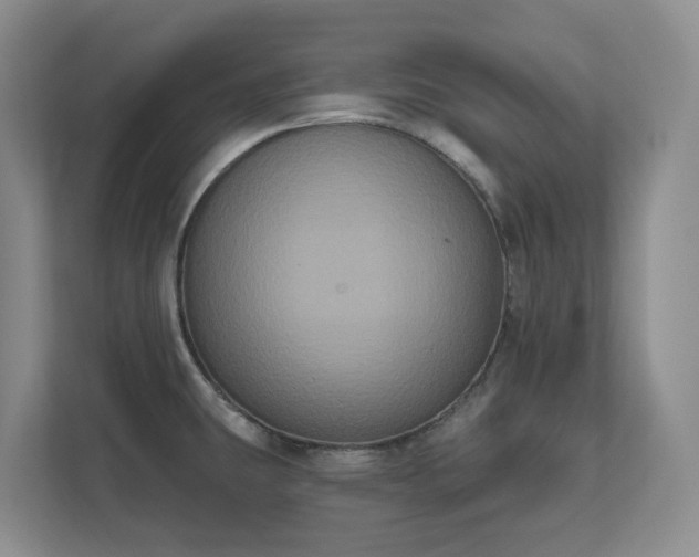 X0000111521431200907211215