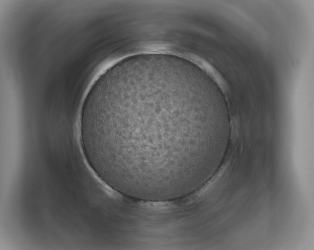 X0000111521432200907211215