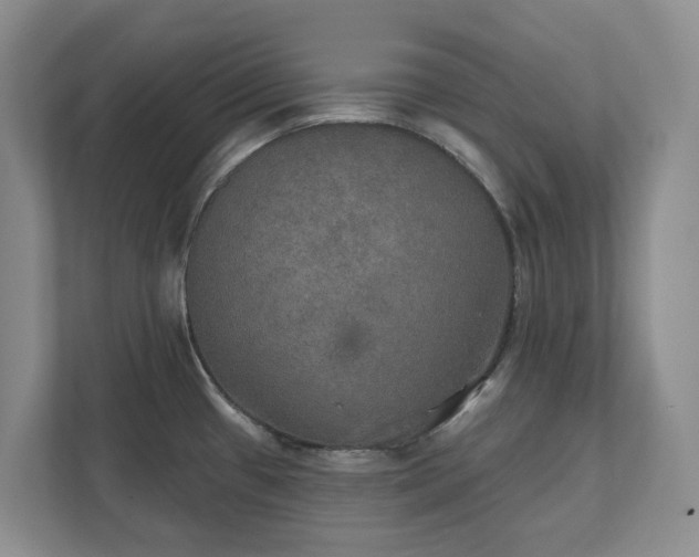 X0000111521433200907211215