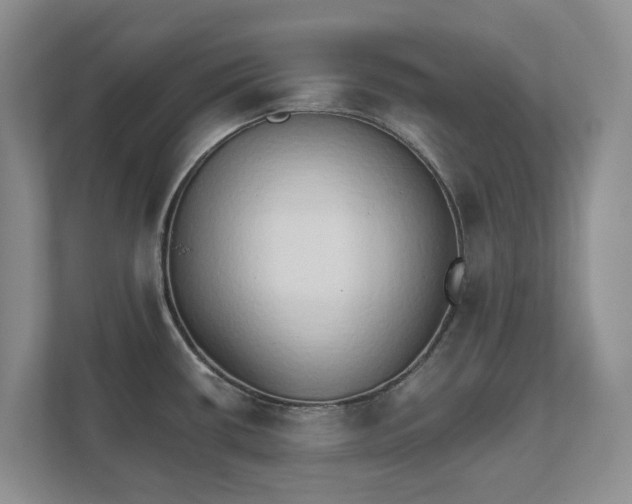 X0000111521434200907211215