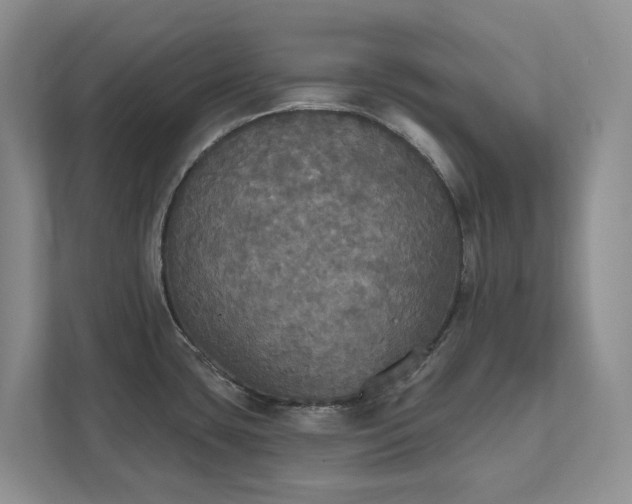 X0000111521435200907211215