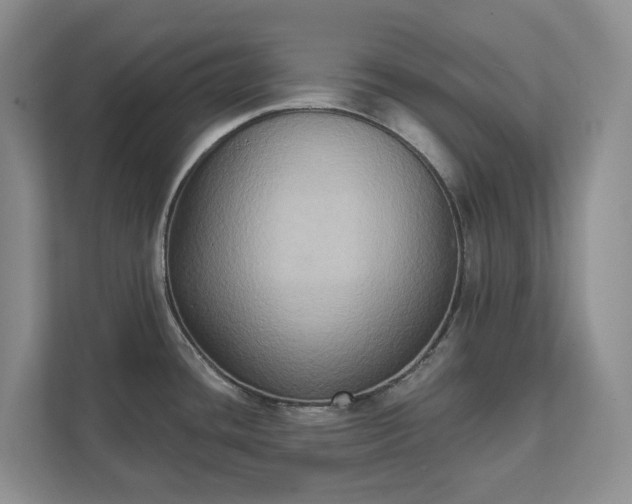 X0000111521436200907211215