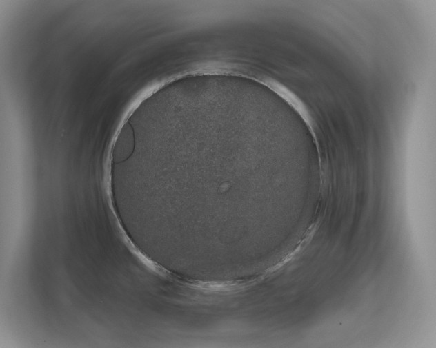 X0000111521437200907211215