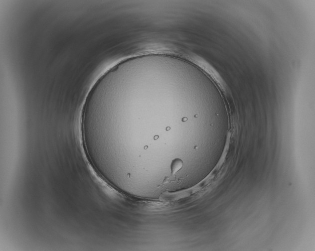 X0000111521439200907211215