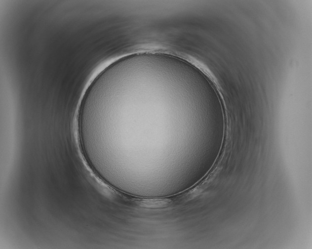 X0000111521440200907211215