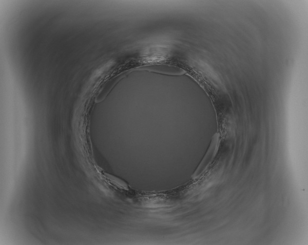 X0000111521441200907211214