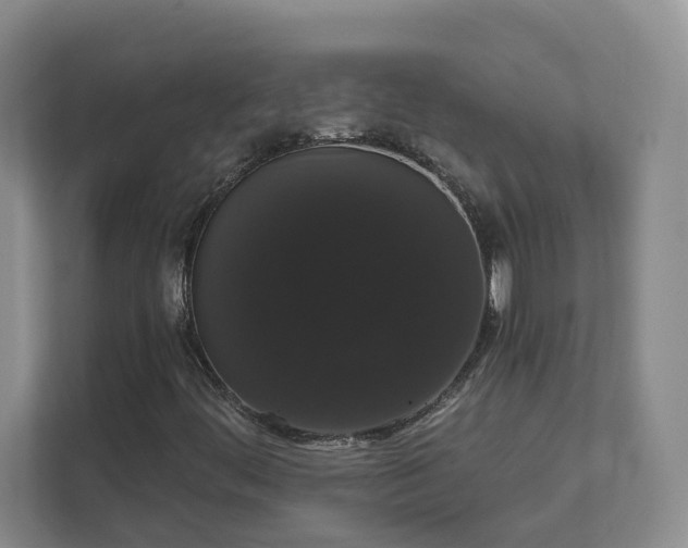 X0000111521444200907211214