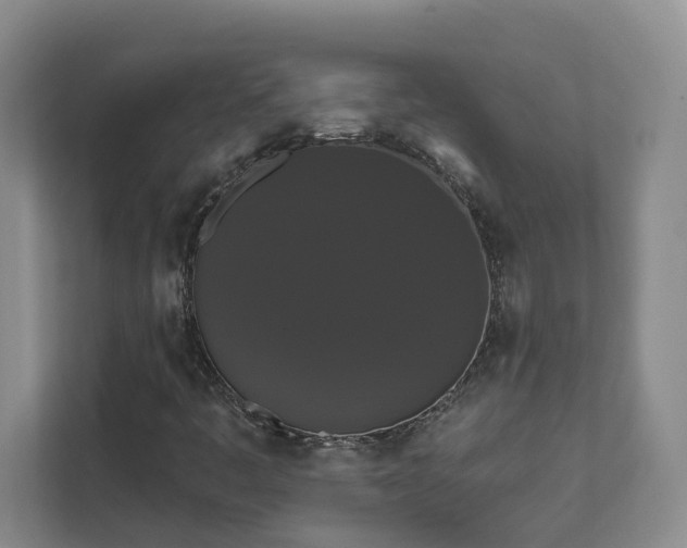 X0000111521445200907211214