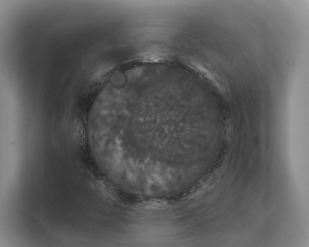X0000111521446200907211214