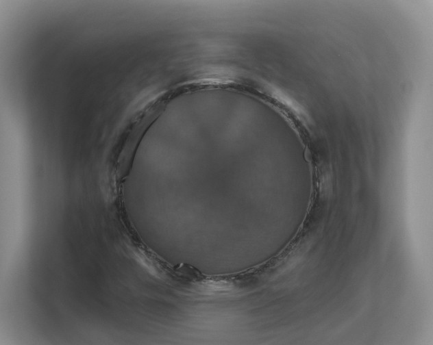 X0000111521448200907211214