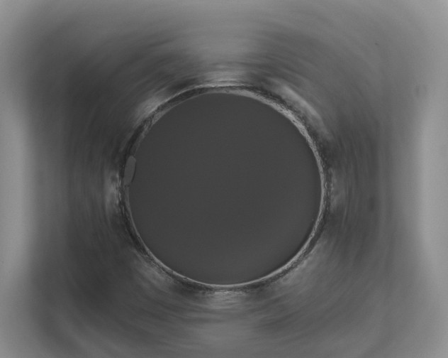X0000111521449200907211214