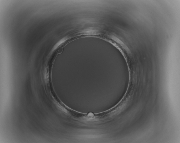 X0000111521450200907211214