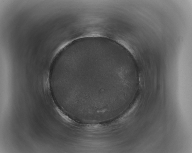 X0000111521452200907211214